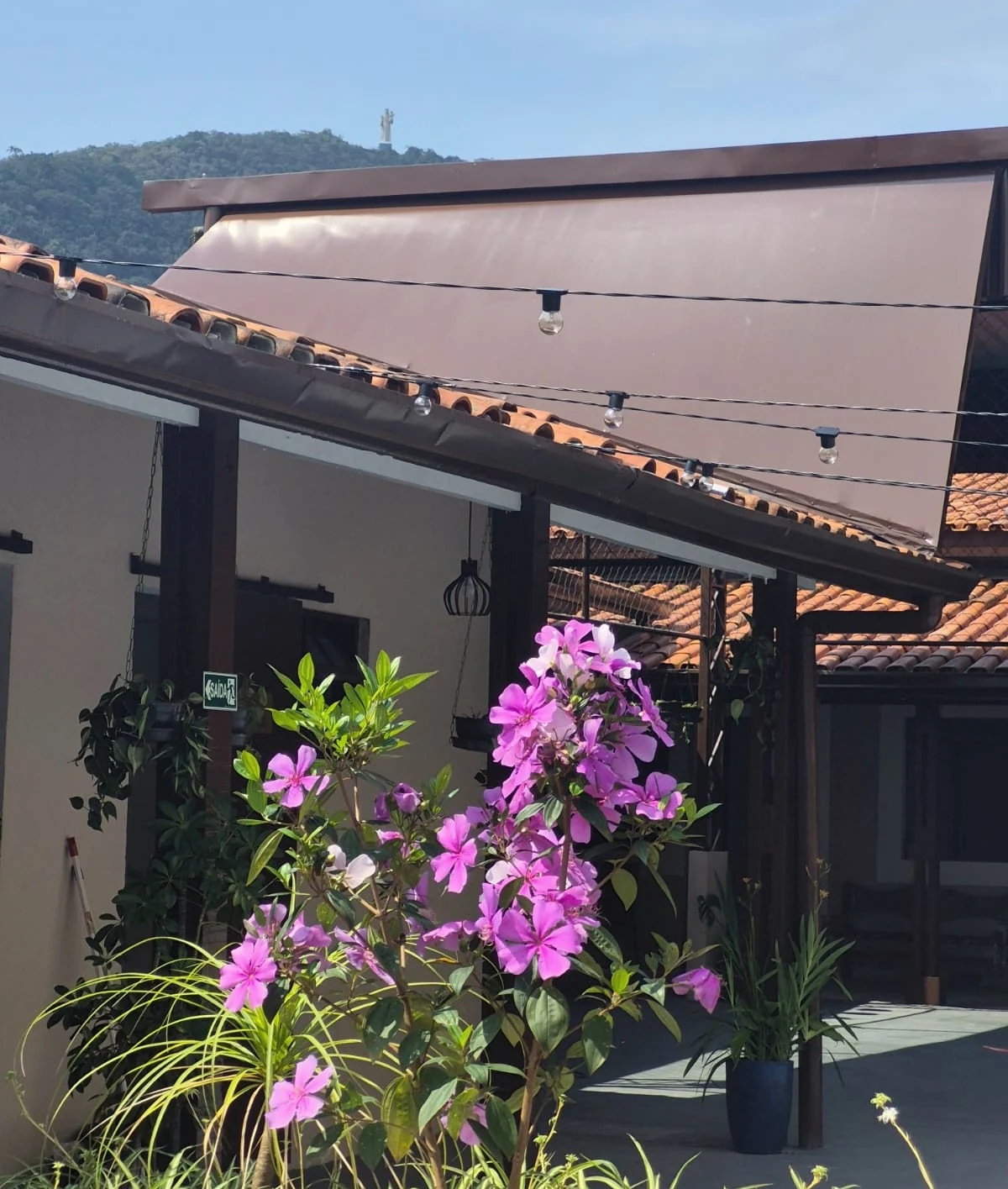 Flores no jardim da Casa Hiro, com a casa e a serra ao fundo
